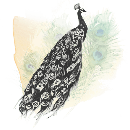 Peacock icon