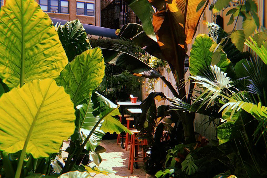Gilligan. nyc