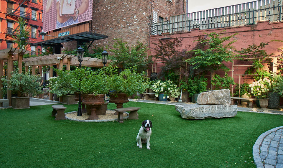 Dog park soho nyc