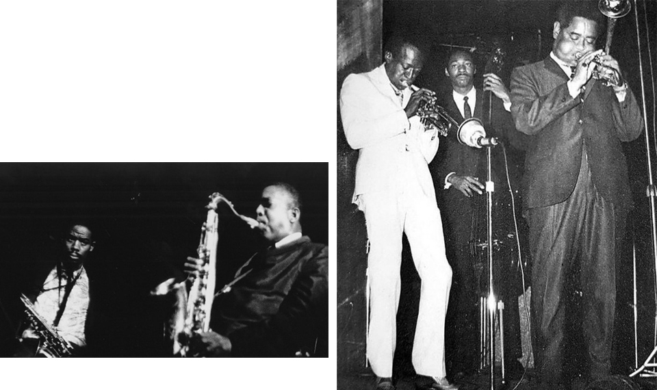 Sharon dlugoff archive