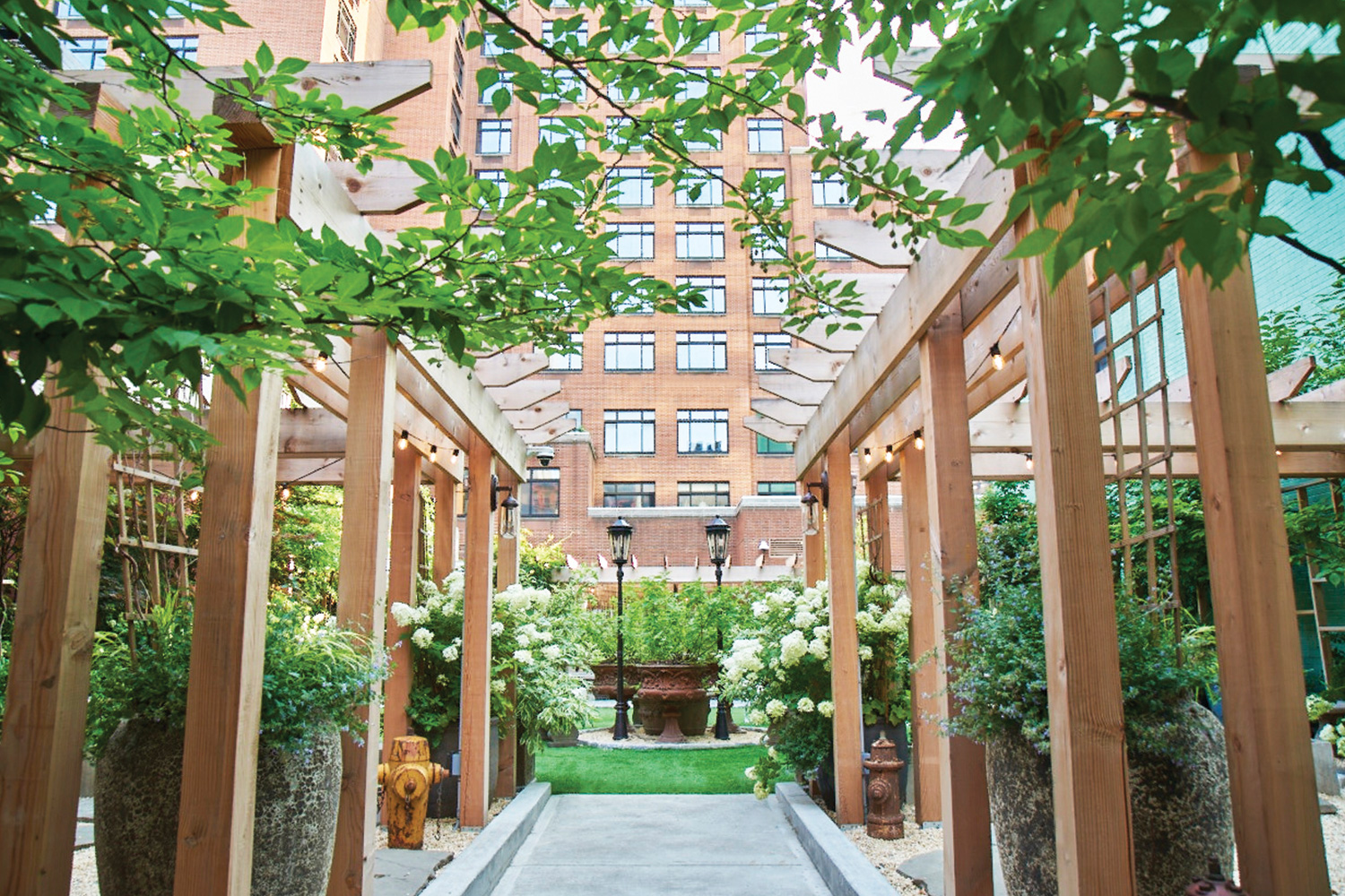 pathway leading up the the soho grand dog park