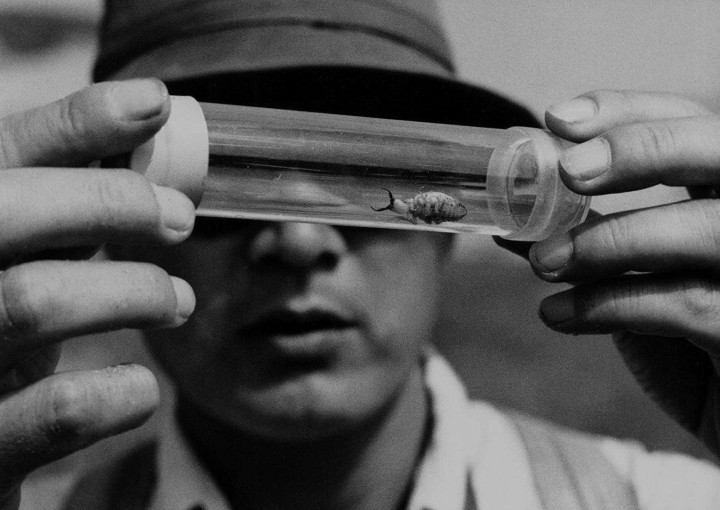 Image from the motion picture Woman in the Dunes