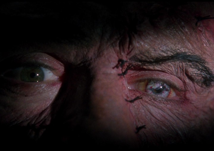 Image from the motion picture Mary Shelley's Frankenstein