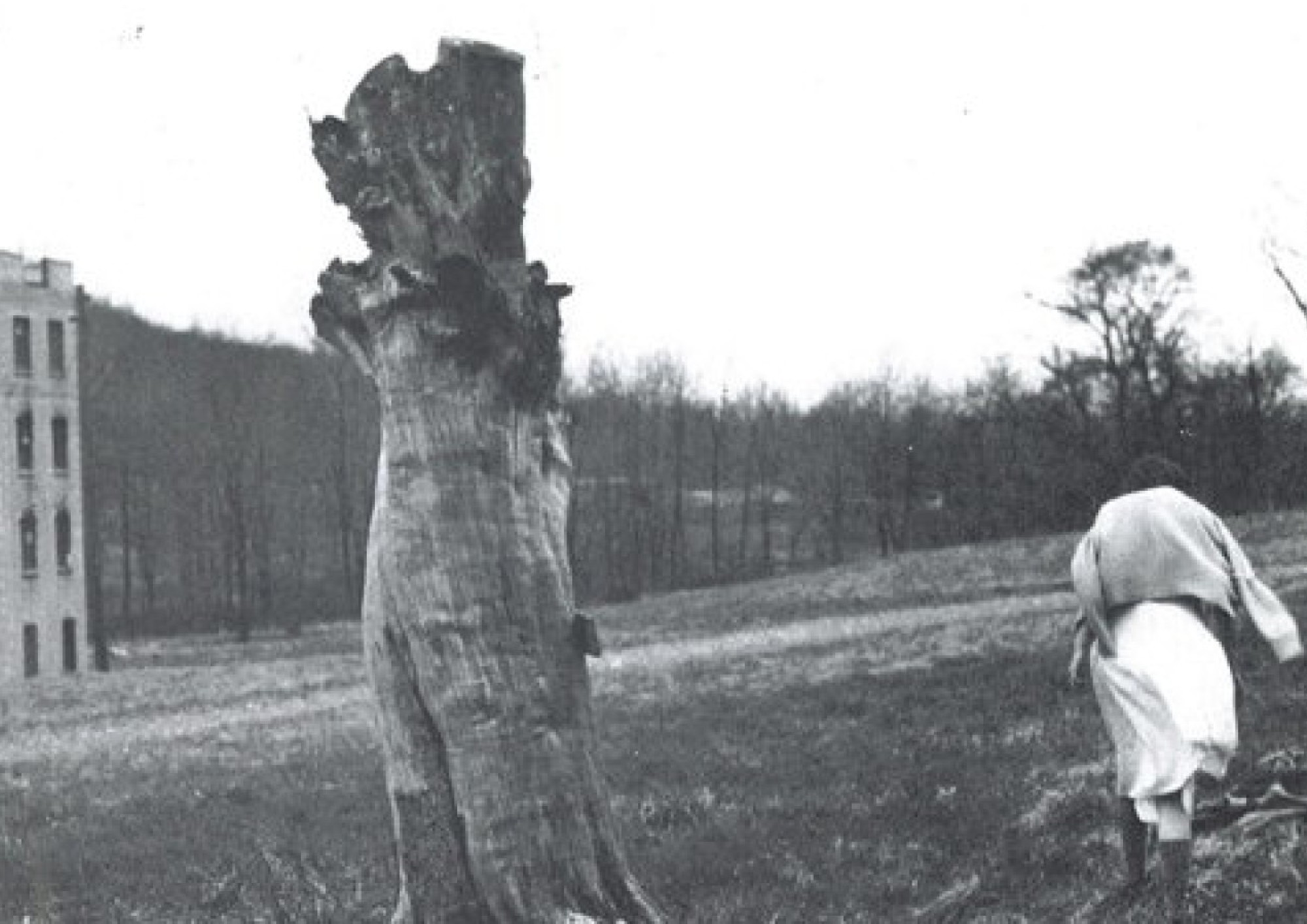 Image from the motion picture You Are Not I