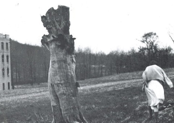 Image from the motion picture You Are Not I