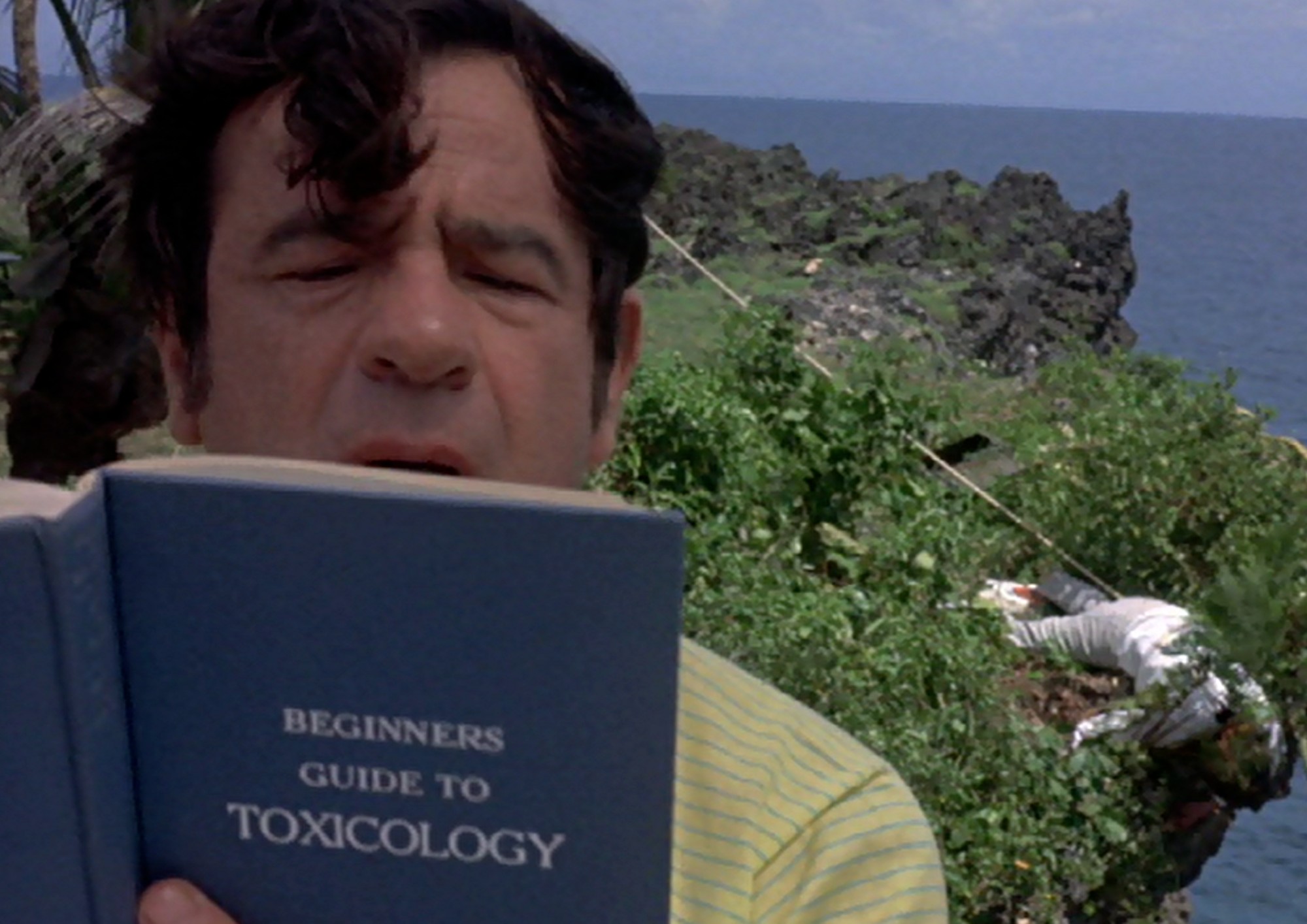 Image from the motion picture A New Leaf