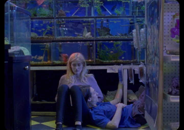 Image from the motion picture Giving Birth to a Butterfly