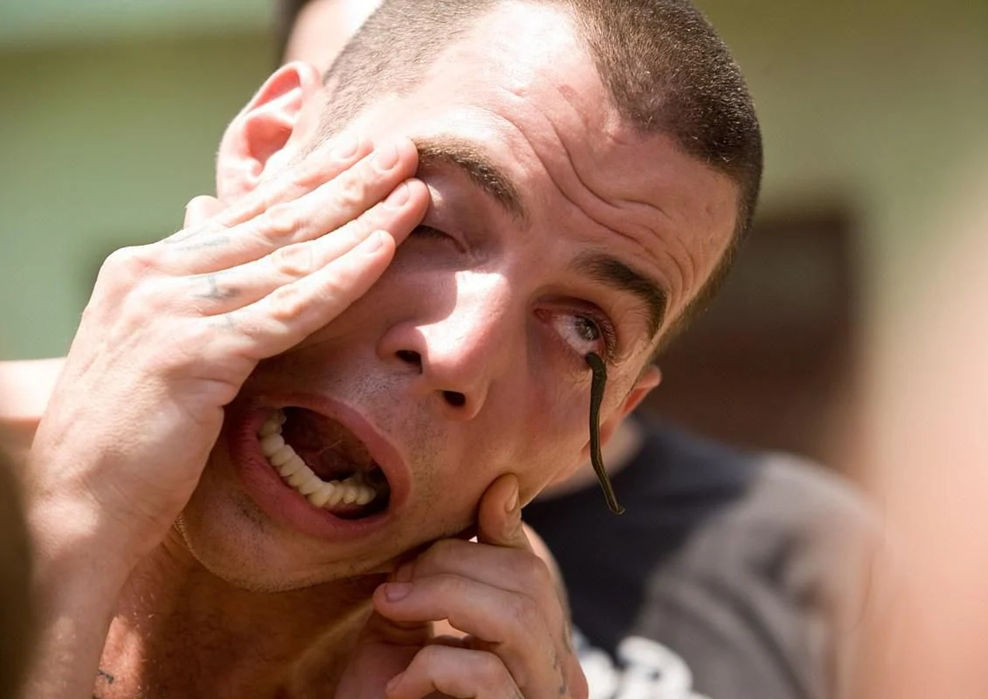 Image from the motion picture Jackass Number Two