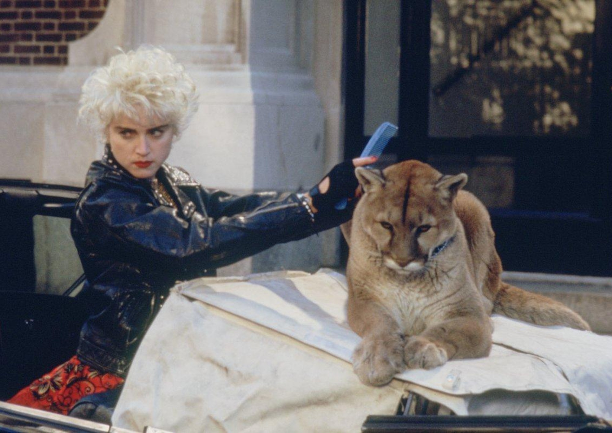 Image from the motion picture Who's That Girl