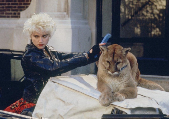 Image from the motion picture Who's That Girl