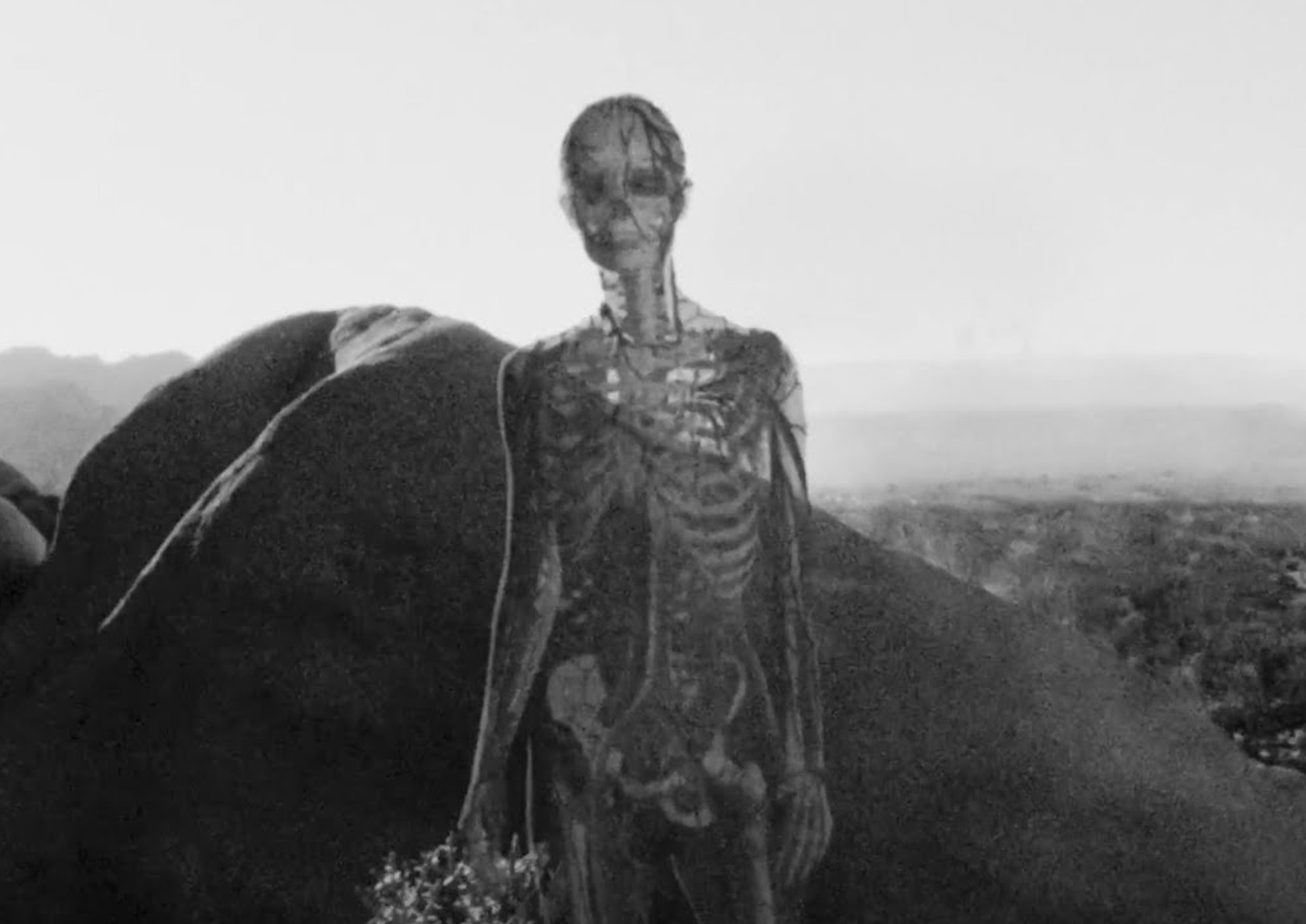 Image from the motion picture Divinity