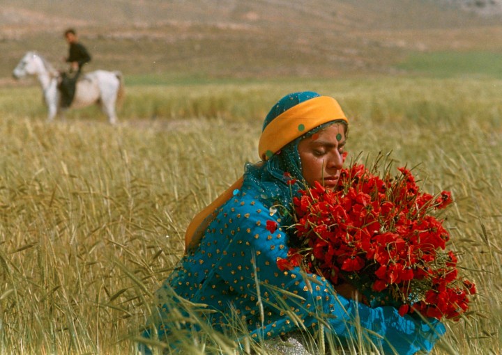 Image from the motion picture Gabbeh