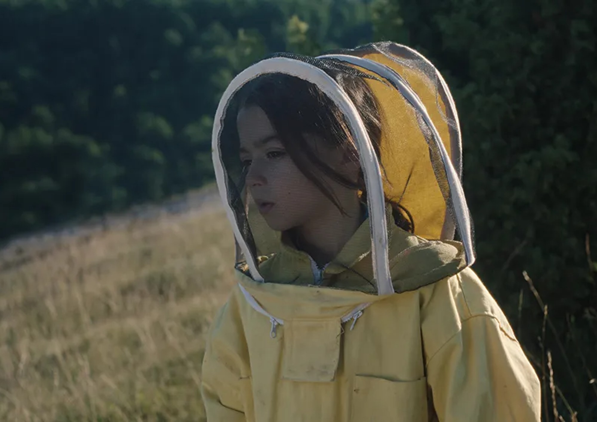 Image from the motion picture 20,000 Species of Bees