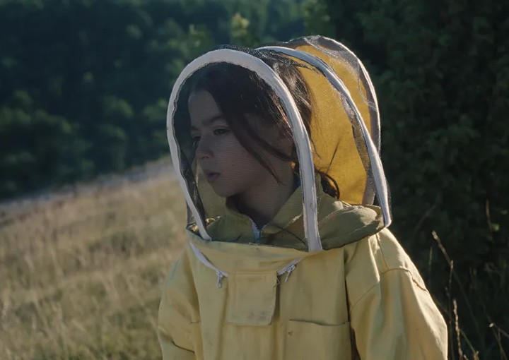 Image from the motion picture 20,000 Species of Bees