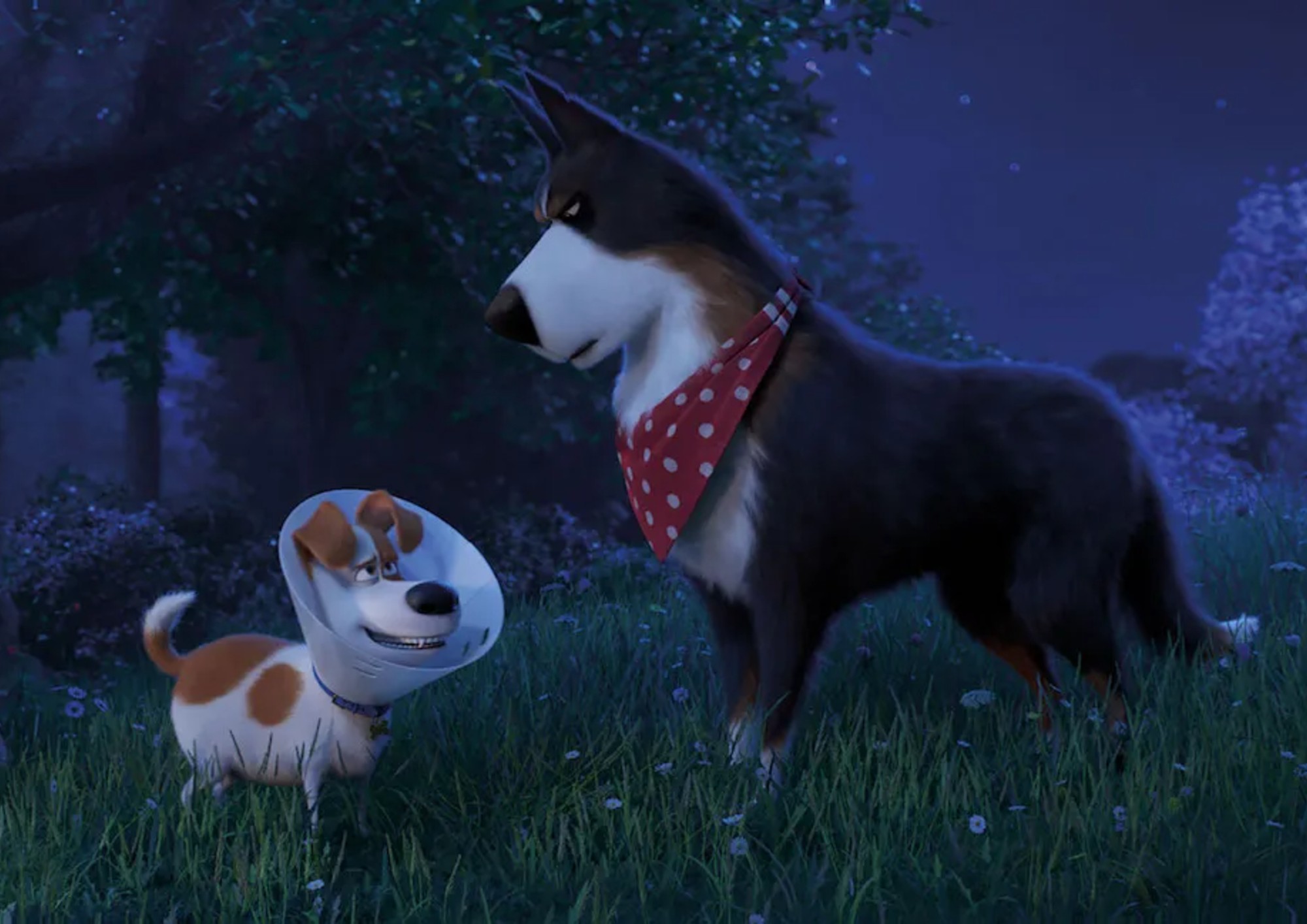 Image from the motion picture The Secret Life of Pets 2