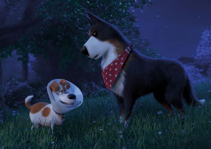 Image from the motion picture The Secret Life of Pets 2