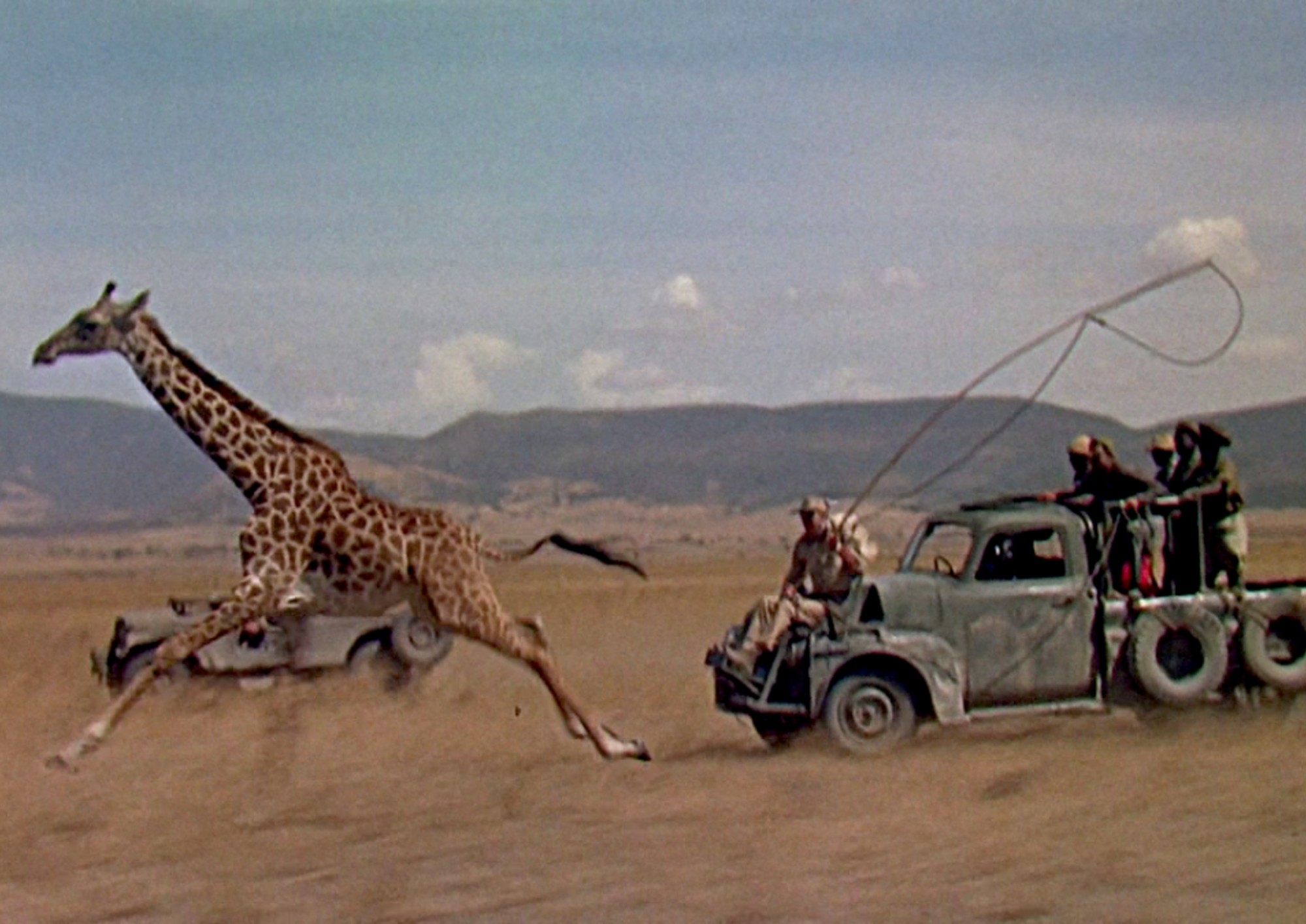 Image from the motion picture Hatari!