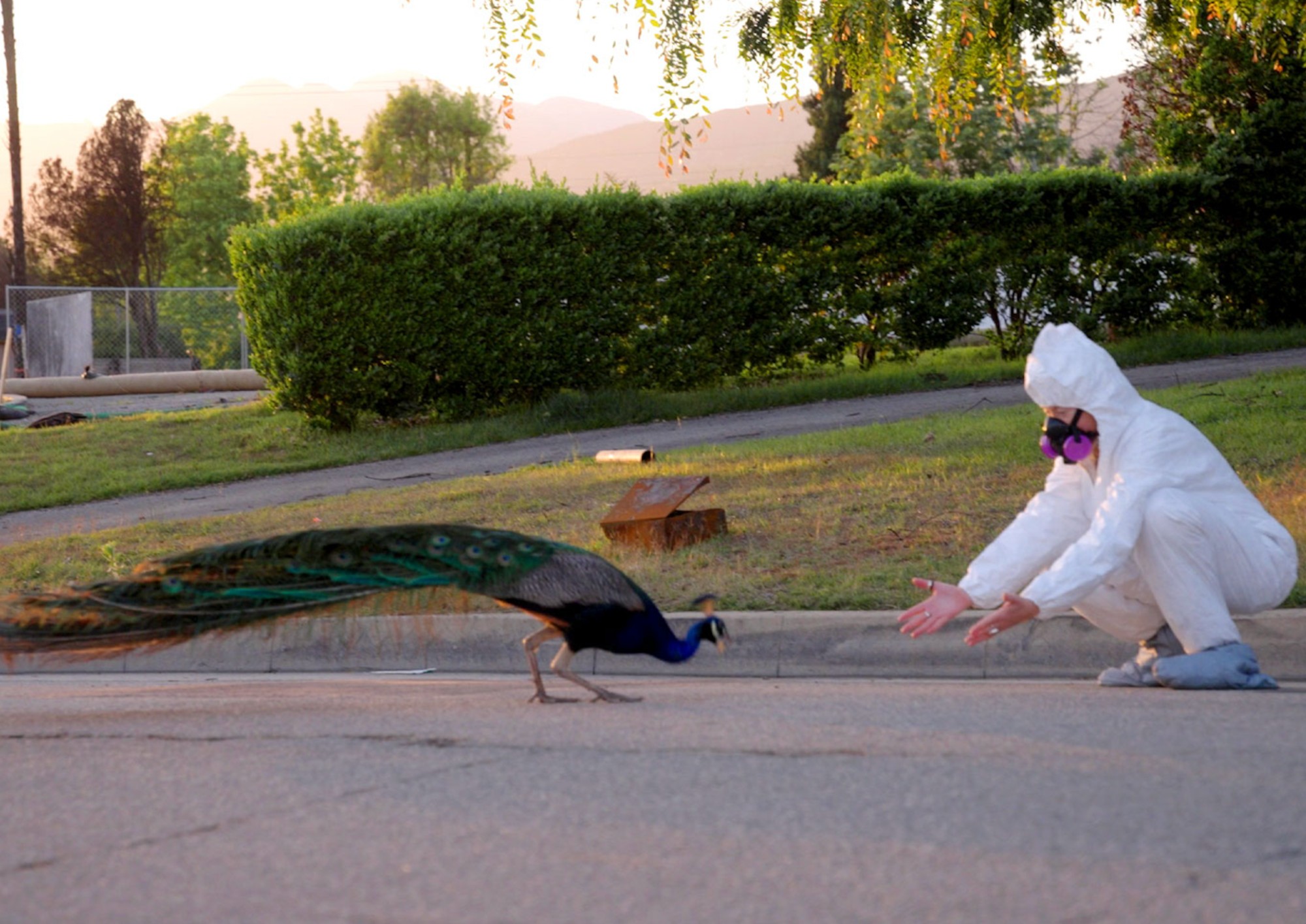 Image from the motion picture All the Walls Came Down