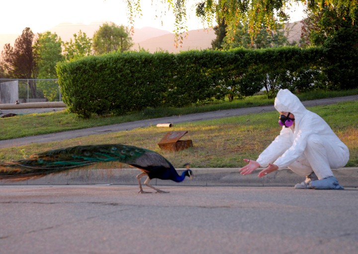 Image from the motion picture All the Walls Came Down