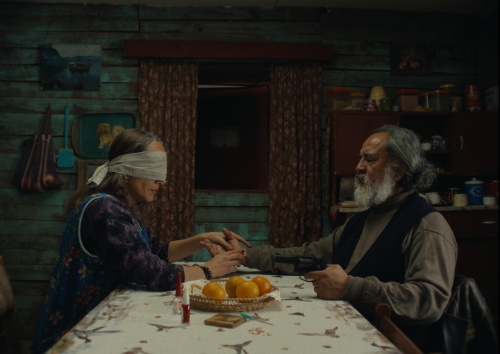 Image from the motion picture The Mysterious Gaze of the Flamingo
