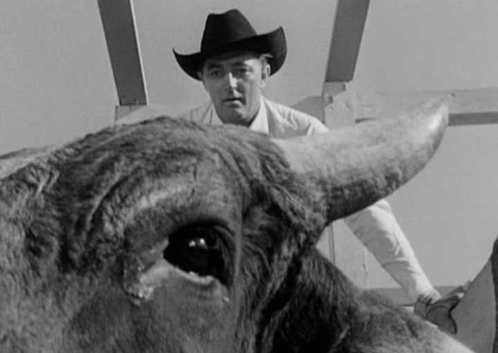 Image from the motion picture The Lusty Men
